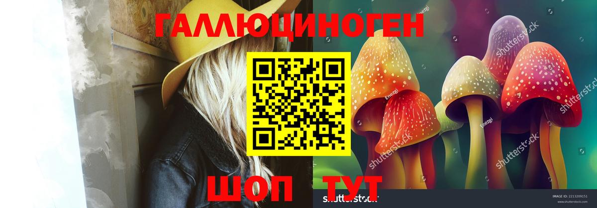 Учалы  Псилоцибиновые грибы MAGIC MUSHROOMS  Галлюциногенные грибы прущие грибы  Вход с VPN 